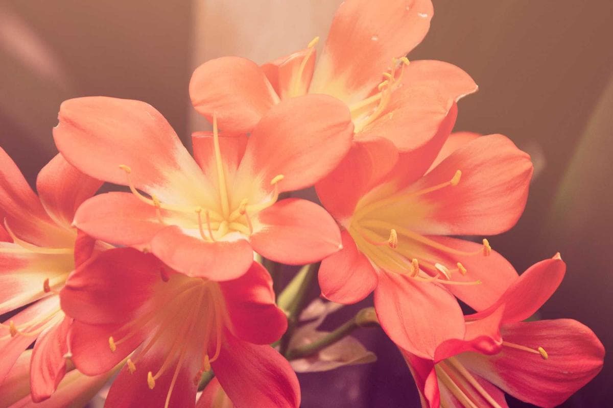 Sample project detail image